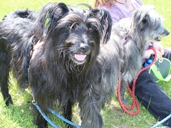 Im Fruehling 2019 (4)